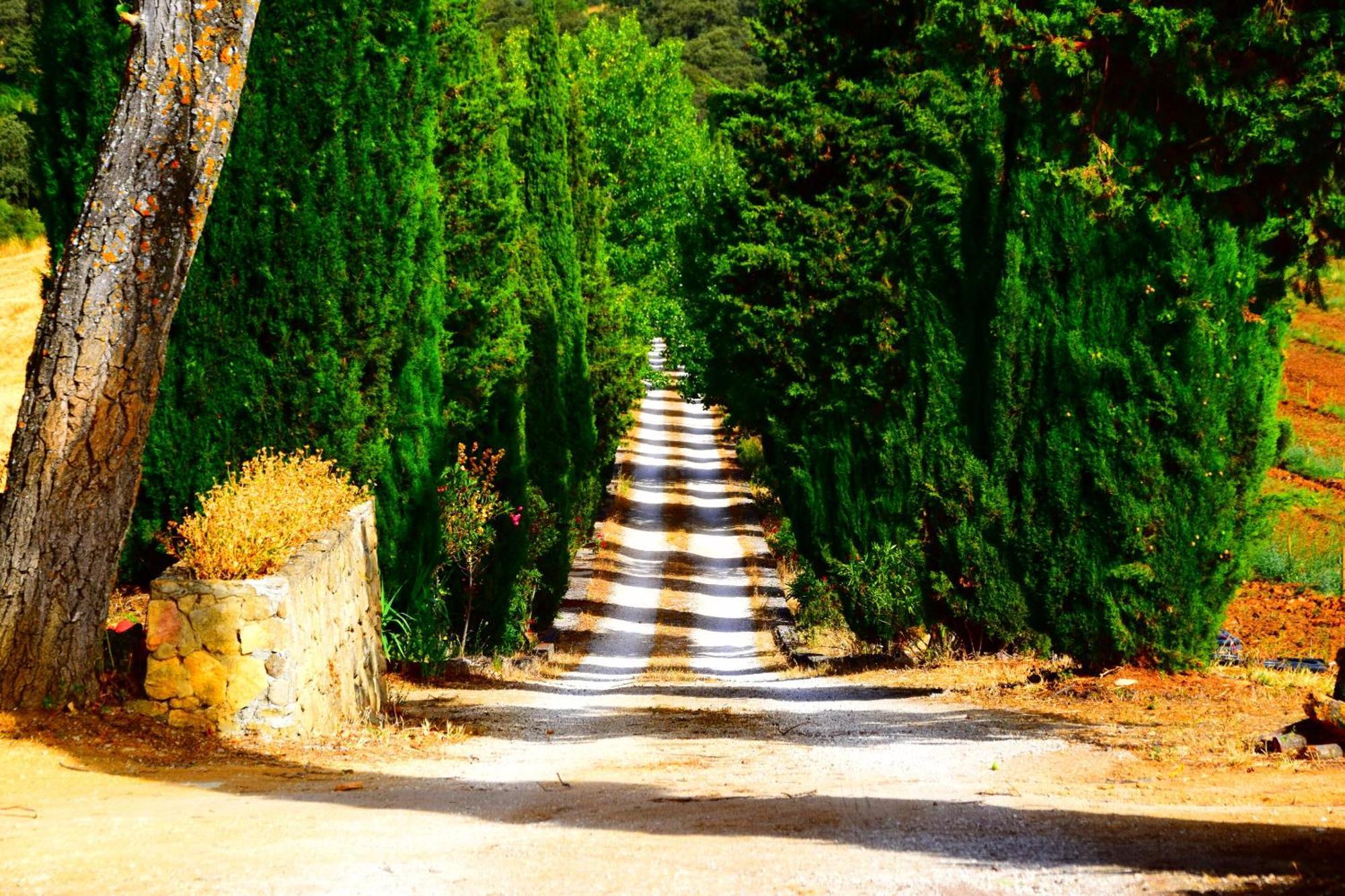 Villa Casa Alta Ronda Dış mekan fotoğraf